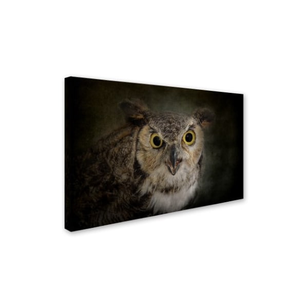 Jai Johnson 'Great Horned Owl' Canvas Art,22x32